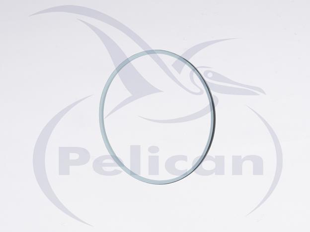 Pelican Worldwide