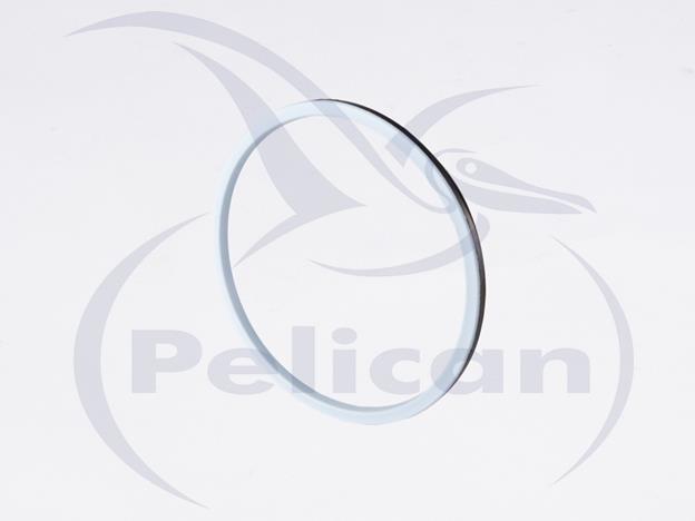 Pelican Worldwide